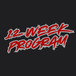 12 Week Program