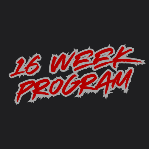 16 Week Program