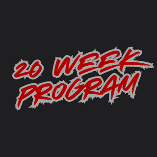 20 Week Program