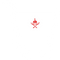 Cart Icon